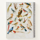 Carnet Illustration d'oiseaux vintages Cadeau d'amoureux (Dos)