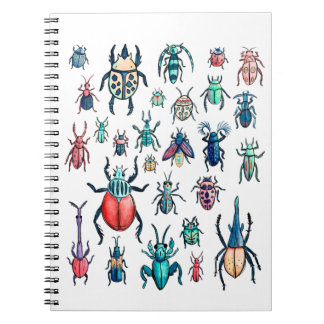 Carnet Illustration du coléoptère de style vintage aquare