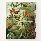 Carnet Illustration du colibri d'Ernst Haeckel 8,5X11" (Dos)