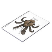 Carnet Illustration du crabe de coco (Côté gauche)