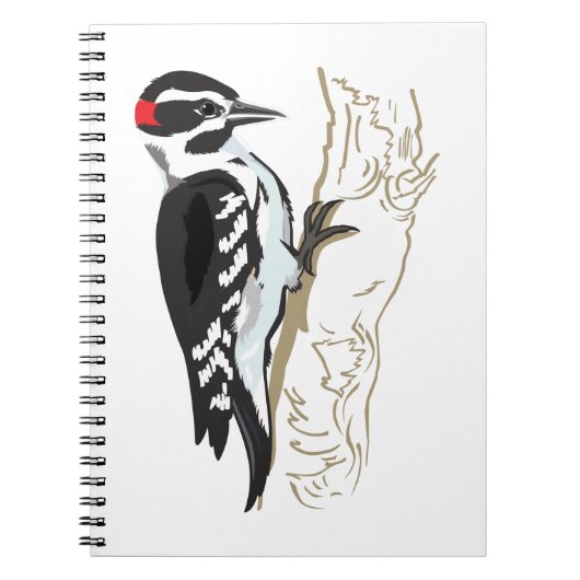 Carnet Illustration du pic (Devant)