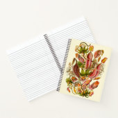Carnet Illustration du Plante Haeckel Nepenthes (Intérieur)