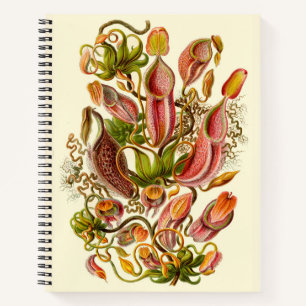Carnet Illustration du Plante Haeckel Nepenthes