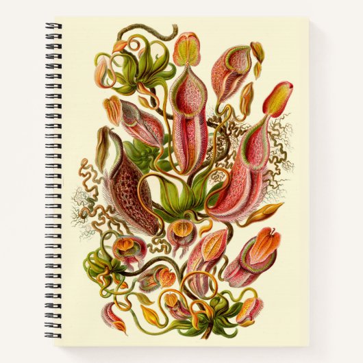 Carnet Illustration du Plante Haeckel Nepenthes (Devant)
