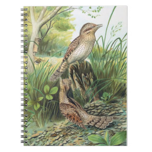 Carnet Illustration d'un oiseau Vintage à cou de cristal
