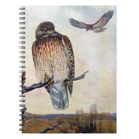 Carnet illustration Rouge-épaulée de cru de faucons (Devant)