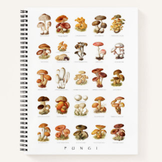 Carnet Illustration vintage champignons comestibles non c