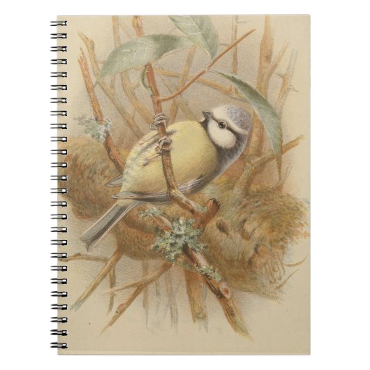Carnet Illustration vintage de Bluetit (Devant)
