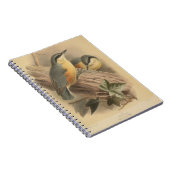 Carnet Illustration vintage de Nuthatch (Côté Droit)