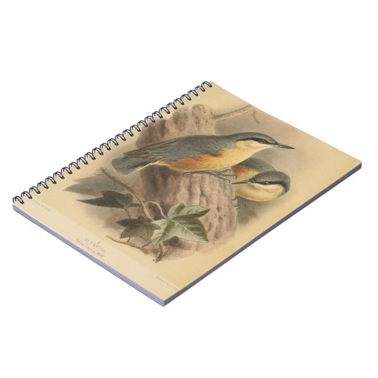 Carnet Illustration vintage de Nuthatch (Côté gauche)