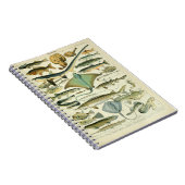 Carnet Illustration Vintage de Poissons (Côté Droit)