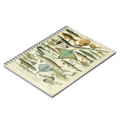 Carnet Illustration Vintage de Poissons (Côté gauche)
