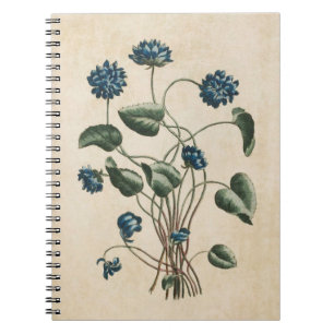 Carnet Illustration vintage des violettes florales botani