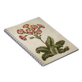 Carnet Illustration vintage Florale Polianthus (Côté Droit)