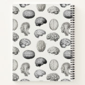 Carnet Illustrations Antiques d'Anatomie du Cerveau Biolo (Dos)