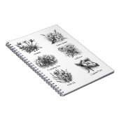 Carnet Illustrations botaniques (Côté Droit)