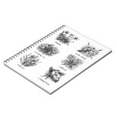 Carnet Illustrations botaniques (Côté gauche)
