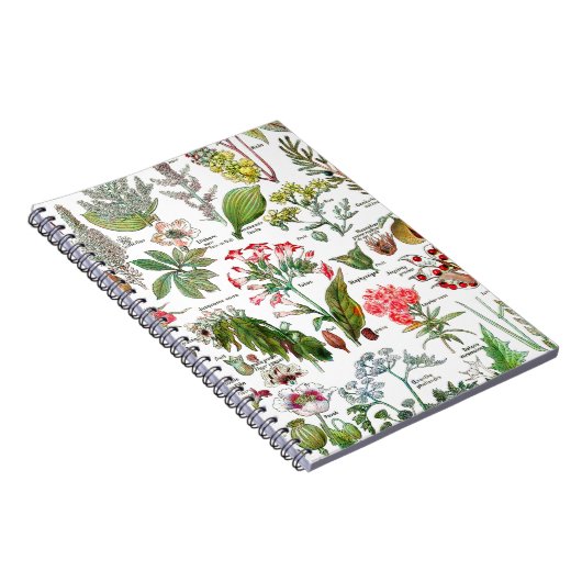 Carnet Illustrations botaniques (Côté Droit)