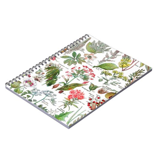 Carnet Illustrations botaniques (Côté gauche)