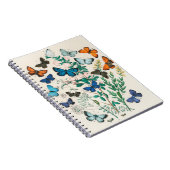 Carnet illustrations de papillons (Côté Droit)