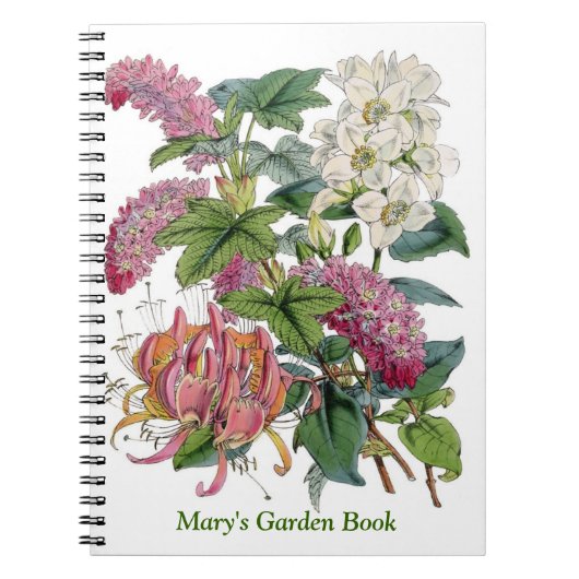 Carnet Illustrations vintages de Botanicals (Devant)