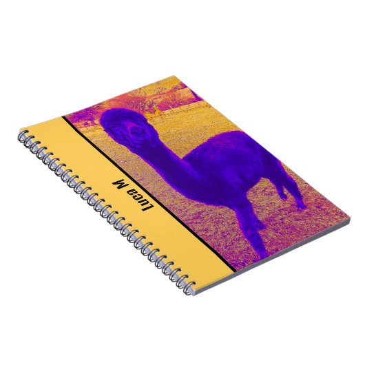 CARNET IMAGE ALPACA LUMINEUSE ABSTRAITE D'ACCUEIL PERSONN (Côté Droit)