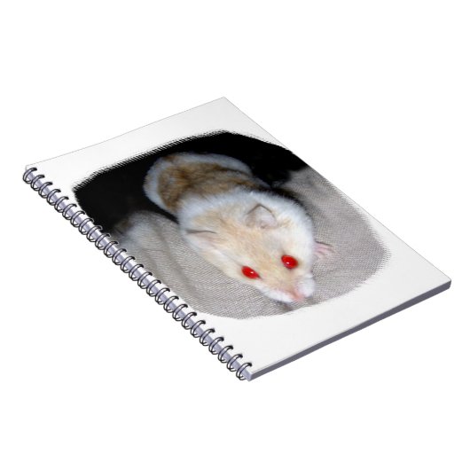 Carnet Image blanche et blonde de hamster albinos (Côté Droit)