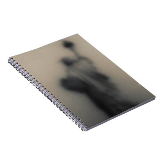 Carnet Image diffuse de la statue de la liberté (Côté Droit)