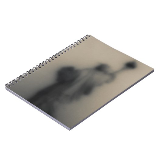 Carnet Image diffuse de la statue de la liberté (Côté gauche)