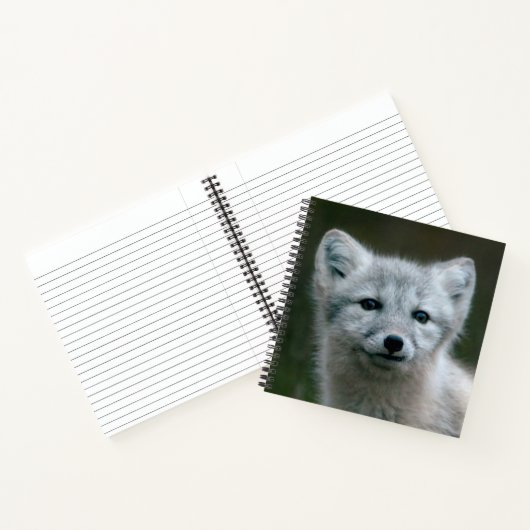Carnet Images Getty | Arctic Fox Kit (Intérieur)
