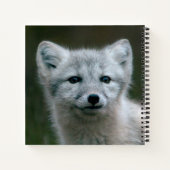 Carnet Images Getty | Arctic Fox Kit (Dos)