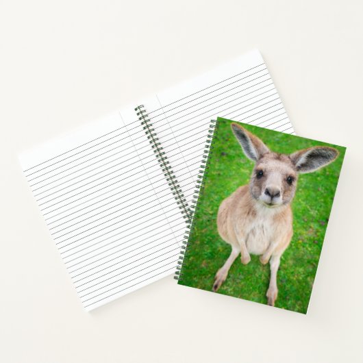 Carnet Images Getty | Baby Kangaroo (Intérieur)