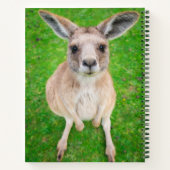Carnet Images Getty | Baby Kangaroo (Dos)