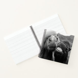 Carnet Images Getty Chevaux souriants