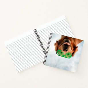 Carnet Images Getty   Chien avec lunettes