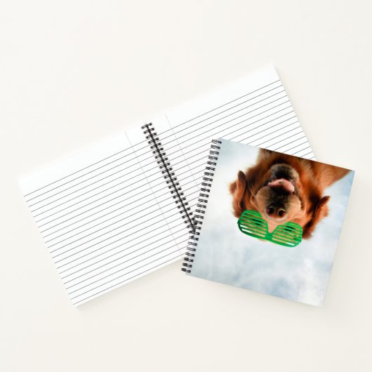 Carnet Images Getty | Chien avec lunettes (Intérieur)