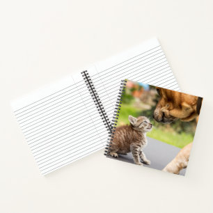 Carnet Images Getty Chien et chat en amour