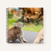 Carnet Images Getty | Chien et chat en amour (Devant)