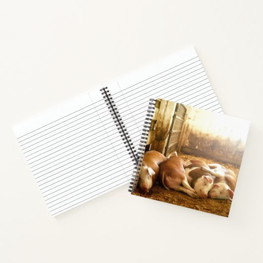 Carnet Images Getty | Chiens en train de se frotter (Intérieur)