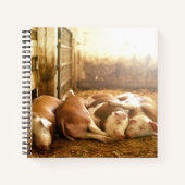 Carnet Images Getty | Chiens en train de se frotter (Devant)