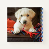 Carnet Images Getty | Chiot Sur Un Canapé (Dos)