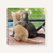 Carnet Images Getty | Deux chatons sur un balcon (Devant)
