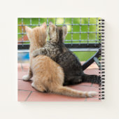 Carnet Images Getty | Deux chatons sur un balcon (Dos)