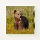 Carnet Images Getty | Drôle bébé ours (Dos)