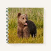 Carnet Images Getty | Drôle bébé ours (Devant)