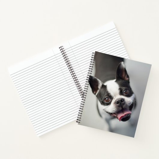 Carnet Images Getty | French Bulldog (Intérieur)