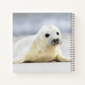 Carnet Images Getty | Phoque bébé (Dos)