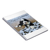 CARNET IMG_9916 (Côté Droit)