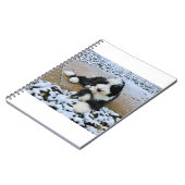 CARNET IMG_9916 (Côté gauche)