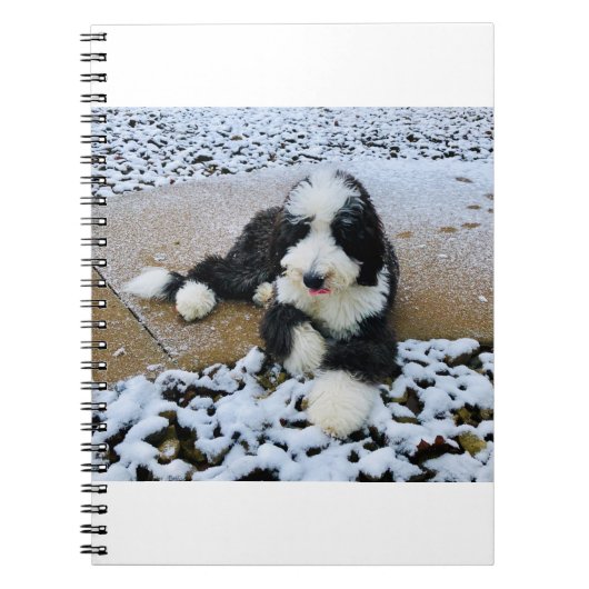 CARNET IMG_9916 (Devant)